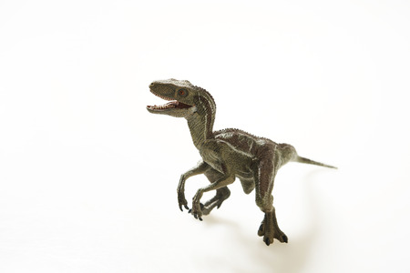 Isolated dinosaur on white backgroundの写真素材
