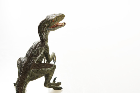 Isolated dinosaur on white backgroundの写真素材
