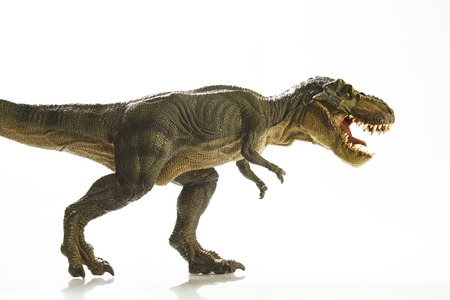Isolated dinosaur on white backgroundの写真素材