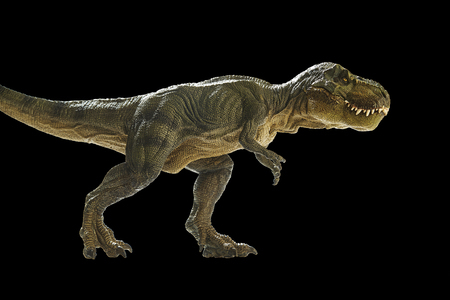 Isolated dinosaur with path and clipping pathの写真素材