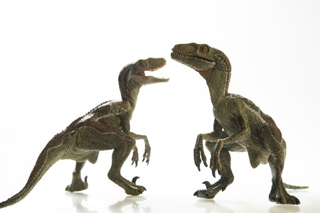 Isolated dinosaur on white backgroundの写真素材