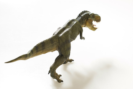 Isolated dinosaur on white backgroundの写真素材
