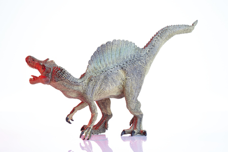 Isolated dinosaur model on white backgroundの写真素材