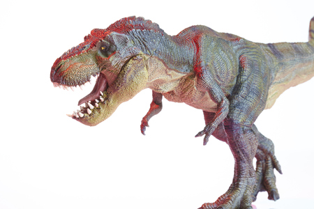 Isolated dinosaur model on white backgroundの写真素材
