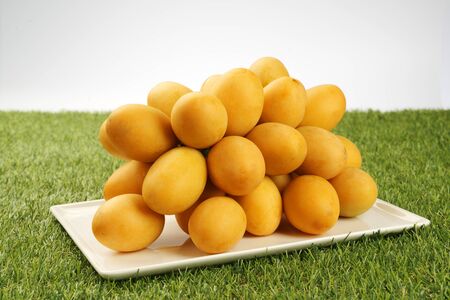 Marian plum fruit on grass background  asia fruitの写真素材