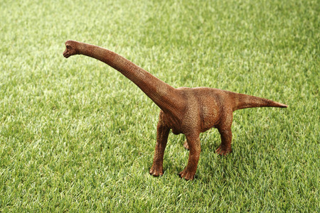 Close up Isolated dinosaur on grass backgroundの写真素材