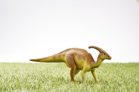 Close up Isolated dinosaur on grass backgroundの写真素材