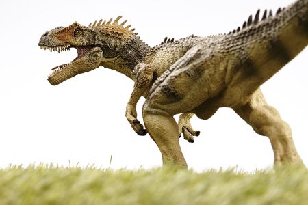 Close up Isolated dinosaur on grass backgroundの写真素材