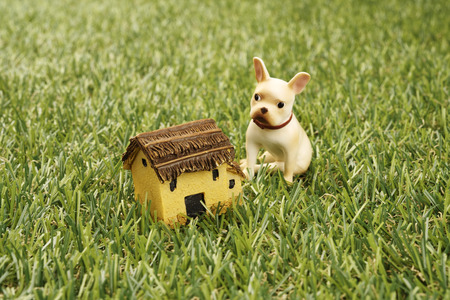 small and little plants decorate in glass bottleの写真素材