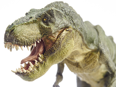 Isolated dinosaur and monster model in white の写真素材