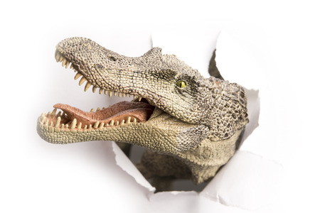 close up dinosaur through the paper wallの写真素材