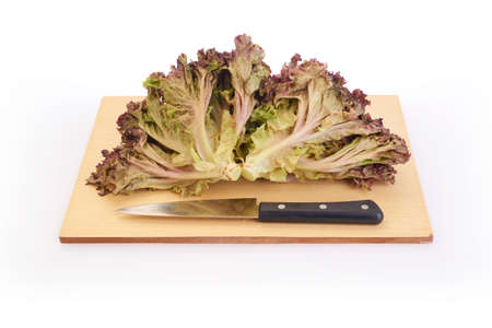 shooting red lettuce on cutting board in white backgroundの写真素材