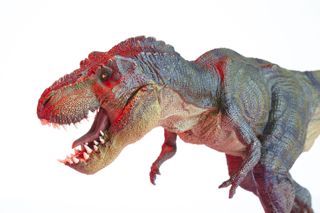 Isolated dinosaur model on white backgroundの写真素材