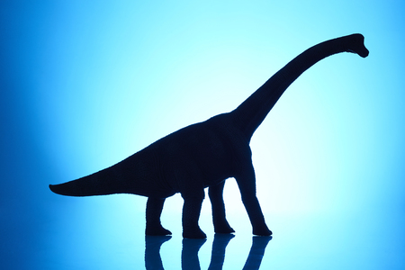 shooting dinosaur model on blue backgroundの写真素材