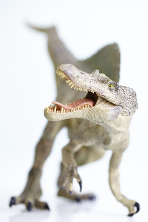 shooting dinosaur model on white backgroundの写真素材