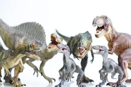 shooting dinosaur model on white backgroundの写真素材