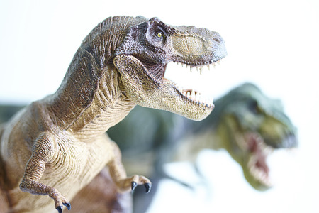 shooting dinosaur model on white backgroundの写真素材