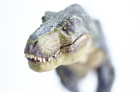 shooting dinosaur model on white backgroundの写真素材