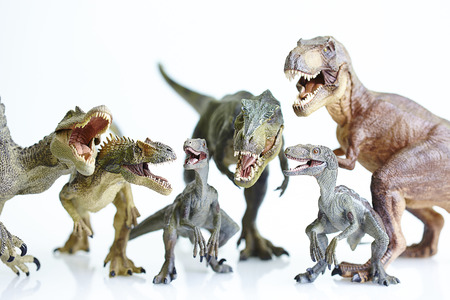 shooting dinosaur model on white backgroundの写真素材
