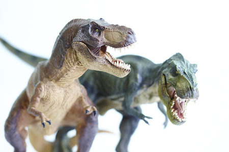 shooting dinosaur model on white backgroundの写真素材