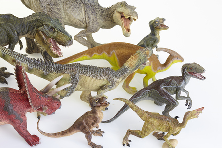 Isolated dinosaur on white backgroundの写真素材