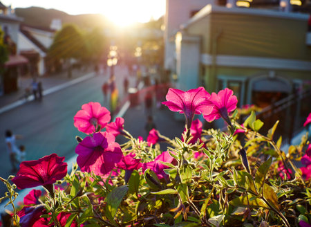 Everland,  Koreaの写真素材