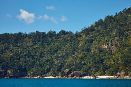 beach at beautiful. Nature backgroundの写真素材