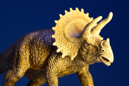 Isolated dinosaur in black backgroundの写真素材