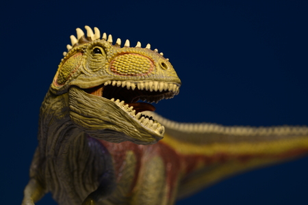 Isolated dinosaur in black backgroundの写真素材