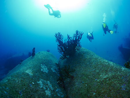 Scuba divers  with reef coral and reef fish in the similan, Thailandの写真素材