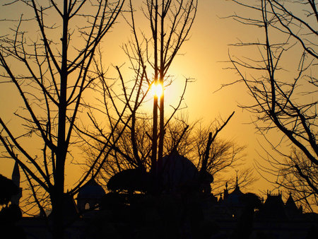 Winter Park, South Koreaの写真素材