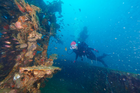 Divers and coral reef underwater with sea fish