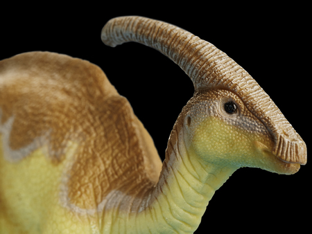 dinosaur in black  backgroundの写真素材