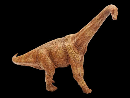 dinosaur in black  backgroundの写真素材