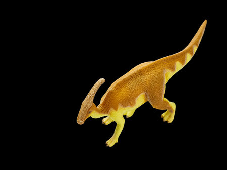 Isolated dinosaur in black backgroundの写真素材