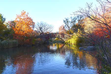 Central Park pond and bridge. New York, USA.の写真素材