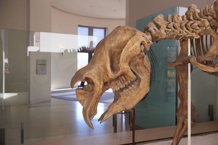 NEW YORK, USA - November 17, 2016: The American museum of Natural History. Upper West Side of Manhattan, Central Park West, NYのeditorial素材