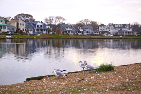 Brooklyn Bridge and Manhattan at sunset, New York Cityの写真素材