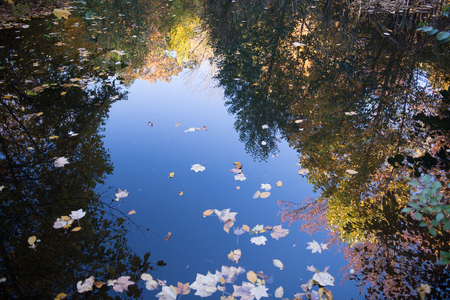 Prospect Park in New York City during Autumnの写真素材