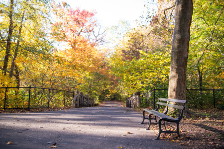 Prospect Park in New York City during Autumnの写真素材