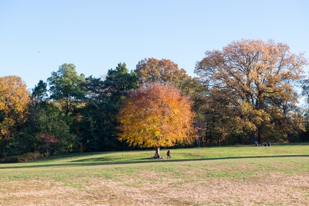 Prospect Park in New York City during Autumnの写真素材