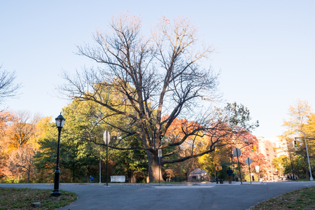 Prospect Park in New York City during Autumnの写真素材