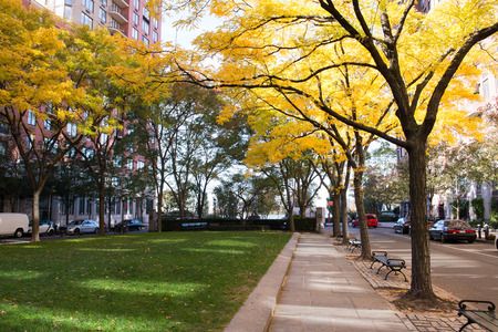 Lower Manhattan, View from Battery Park, New York, United States of Americaのeditorial素材