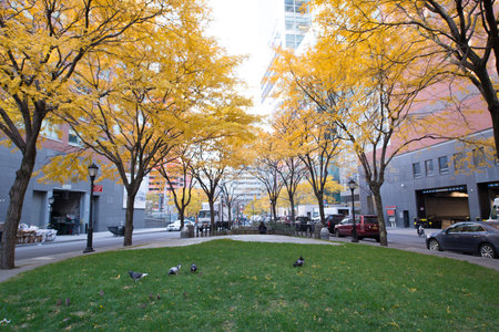 New York City, Battery Park area. Beautiful view of Trees  on a sunny day.のeditorial素材