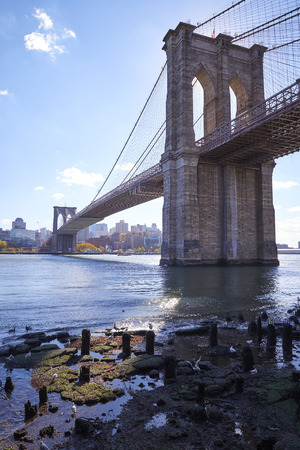 The Brooklyn Bridge and Lower Manhattan skyline seen from Brooklyn Bridge Park.の写真素材