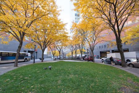 New York City, Battery Park area. Beautiful view of Trees  on a sunny day.の写真素材