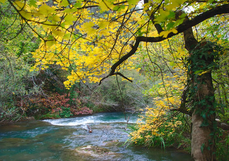 Mellow autumn on river bankの写真素材