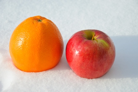 The image of apple and orange on snowの写真素材