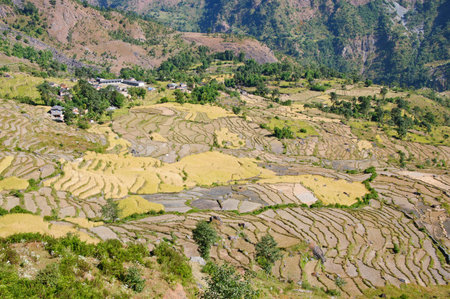 Mountain Agricultural landscape of Nepal Himalayaの写真素材