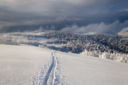 Winter  mountain landscape with lonely ski runの写真素材